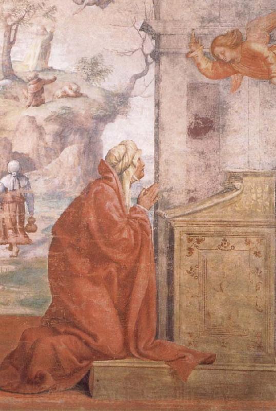 LUINI, Bernardino La Anunciacion del nacimiento de Maria Spain oil painting art